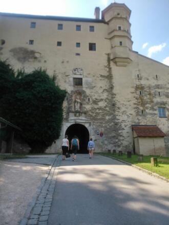 On the way to Willibaldsburg