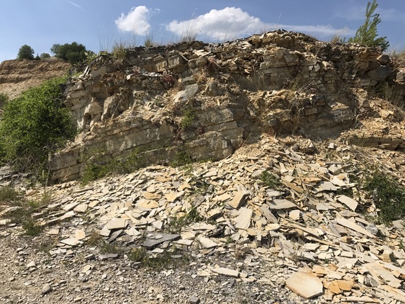 Samstag, 24. Juni 2017, 15:54 Uhr