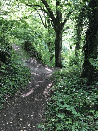 Samstag, 24. Juni 2017, 16:47 Uhr