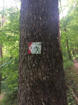 Markierung von Nordic walking park Eichstätt