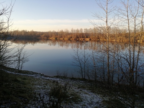 Hundesee in der Allacher Lohe