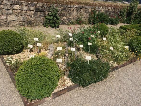 Verschieden Planzen in botanische Garten