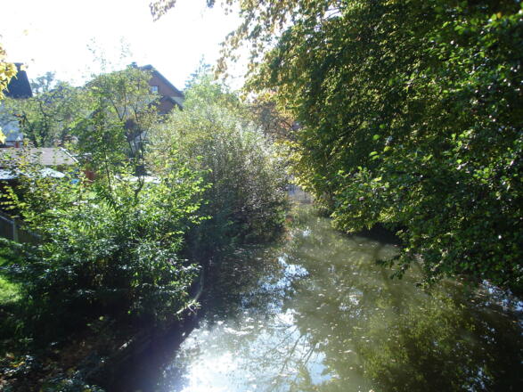 Idyllische Waldbad Tour