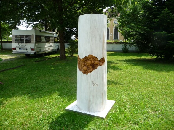 Forstern: Titel: Forsterner Gedankenbaum (Thorsten Schütt)