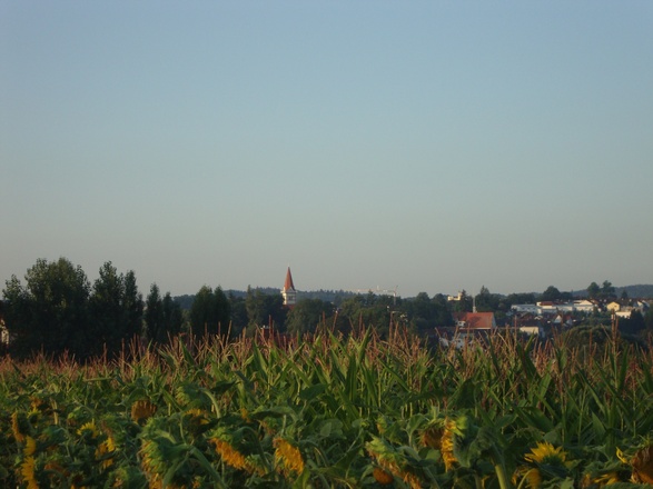 Wanderweg mit Aussicht