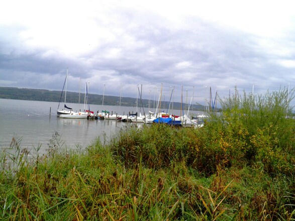 St. Alban: Bootshafen