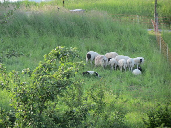 Auf dem Weg zu den Zwergen