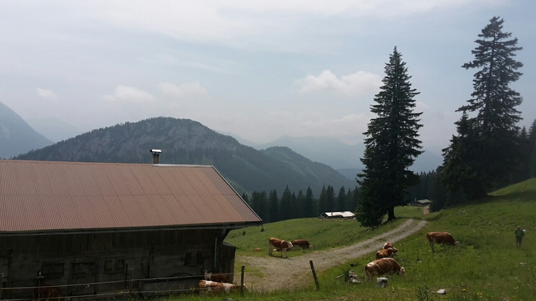 bei der Schönleitenalm