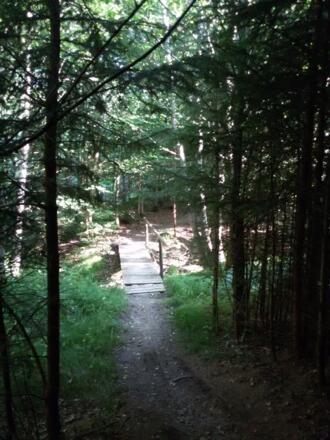 Weg zum Müllerbrünnel