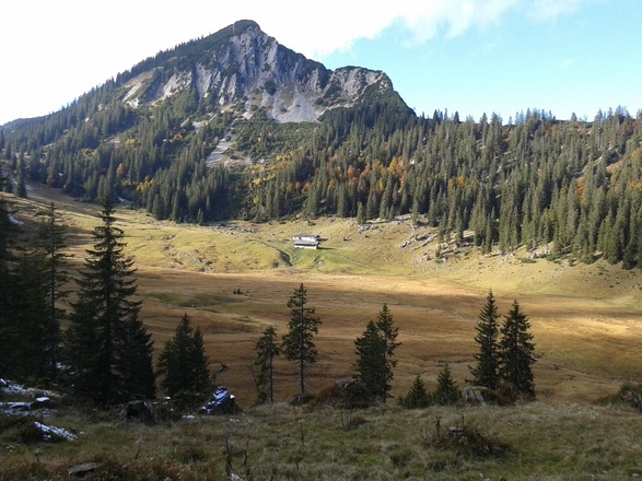 Im Ramsar- Gebiet mit Blick auf Bayerische Wildalm und Halserspitz