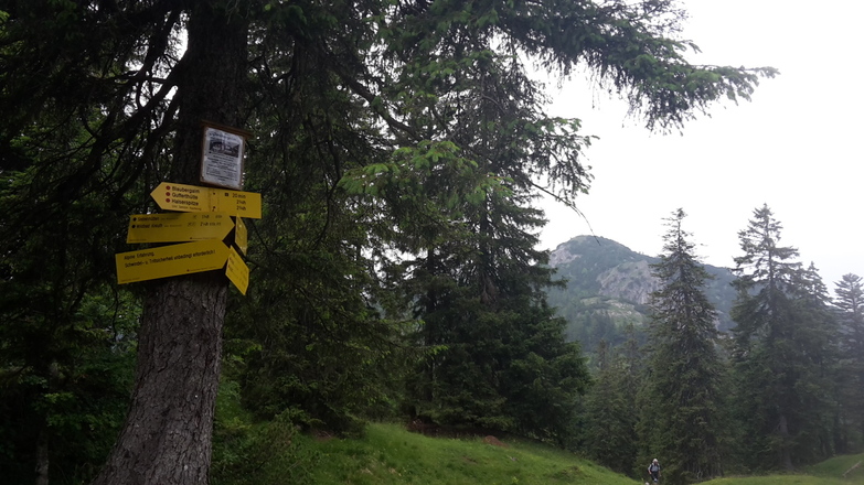 Blick zurück zum Schildenstein vom Sattel unter dem Predigtstuhl