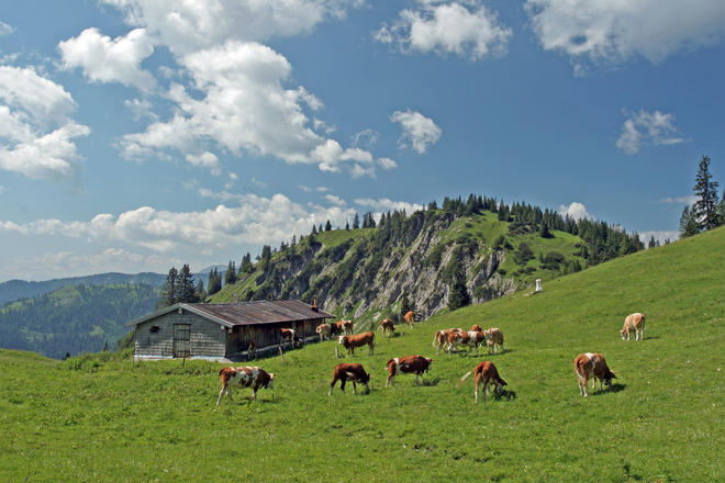 Rieselsberg