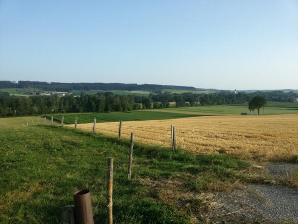 Blick ins Isental