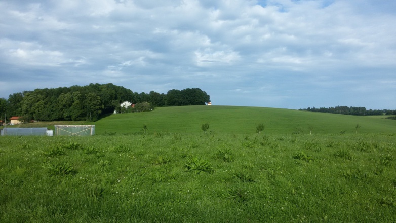 Aufstieg zur Hubertuskapelle