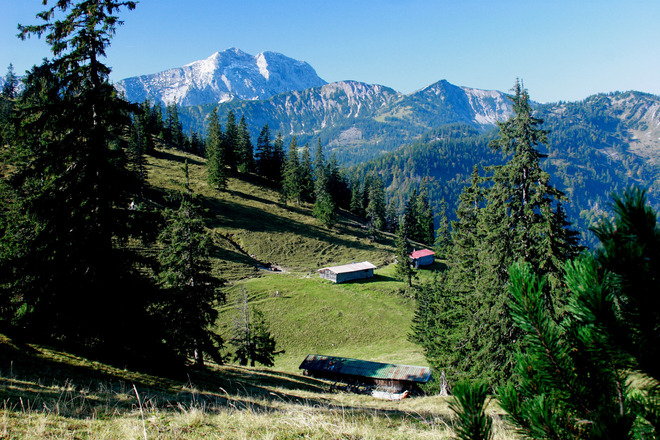 Rieselsberg