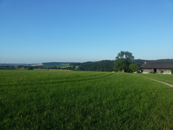 Weg nach Fang