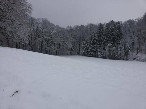 Winterlandschaft über Isen