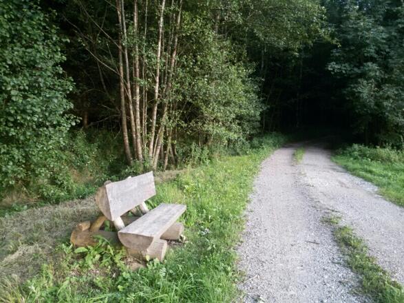 Rast kurz vor Wolfswinkel