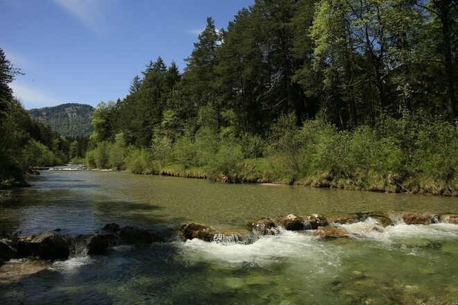 Weißachau bei Kreuth