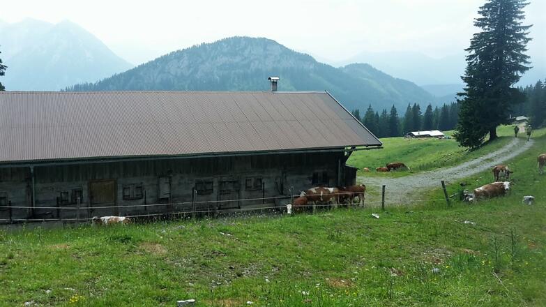 vorbei an der Schönleitenalm