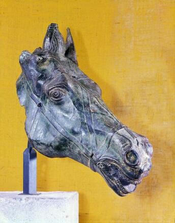 Römisches Museum Pferdekopf 11-06-01