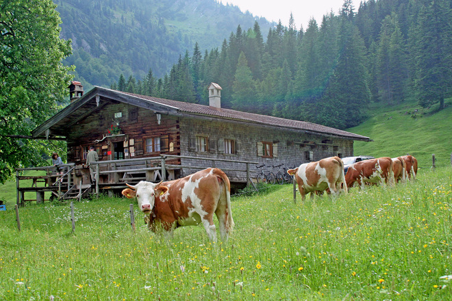 Bayralm