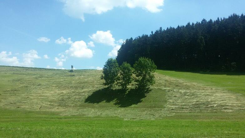 Weg nach Hinterholzhausen