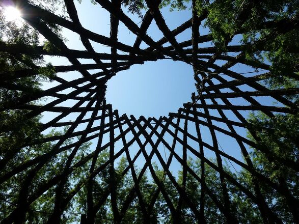 begehbarer Weidenhain in Taufkirchen