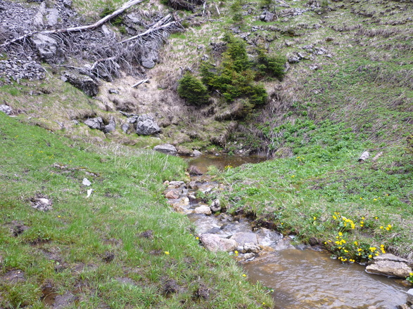 Schluckloch (Ponor) am tiefsten Punkt der Halserpolje