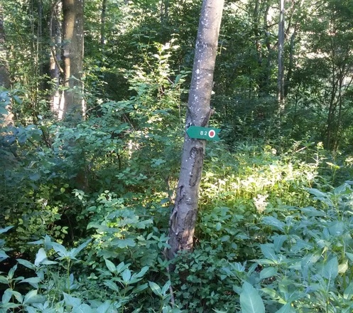 Abzweig auf den Wanderweg B 2