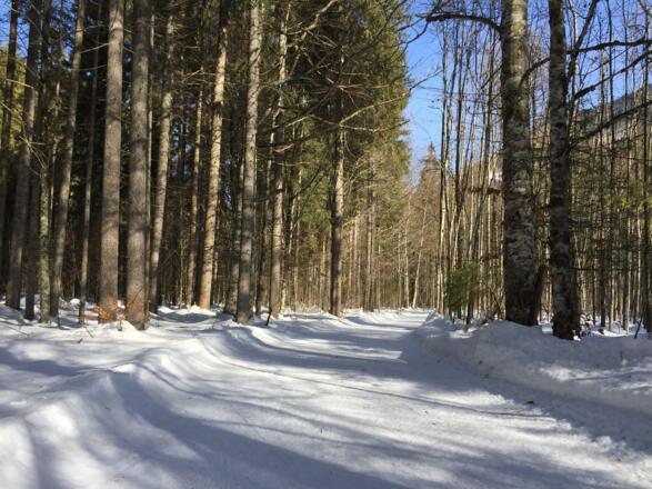 Skatingloipe zum Zipflwirt