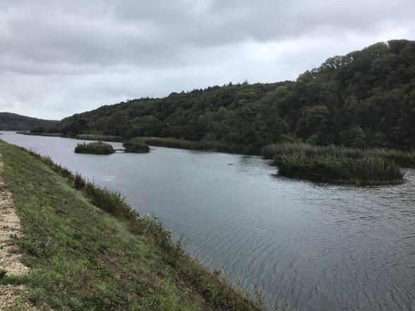 Schleifenroute - Donau bei Neuburg