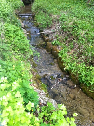 Auf unserem Weg streifen wir den Wörtersbach in Peißenberg.