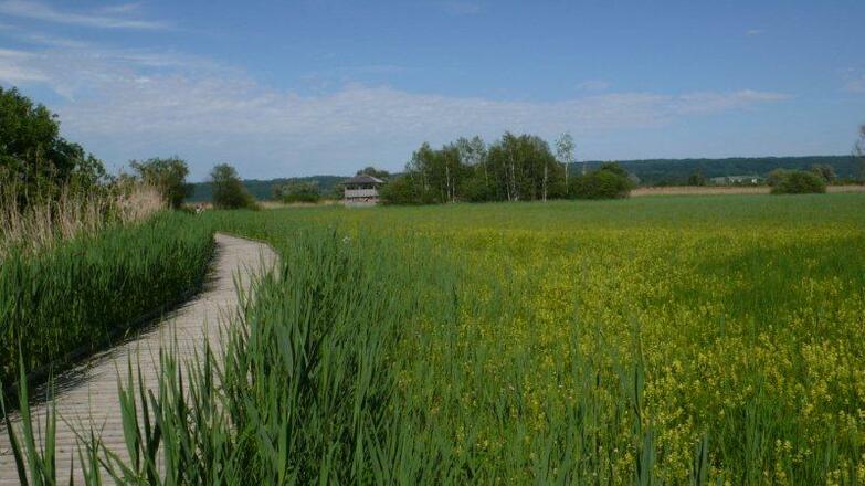 Natur- und Vogelschutzgebiet am Südufer des Ammersees