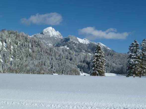 Blick zum Wendelstein