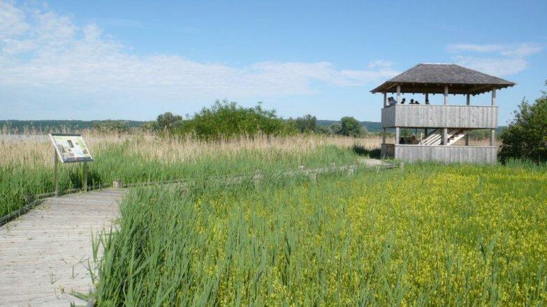 Beobachtungsturm im Natur- und Vogelschutzgebiet am Südufer des Ammersees