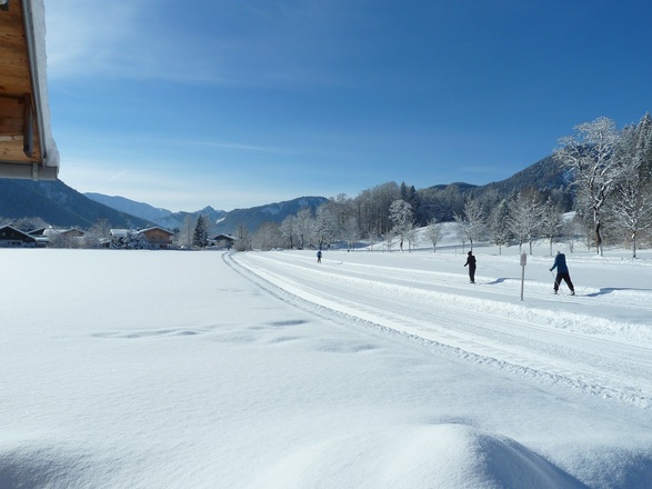 Loipe bei Pförn