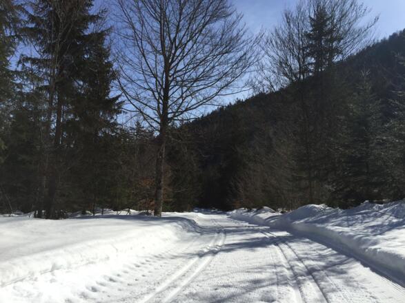 Abfahrt zum Bachbett