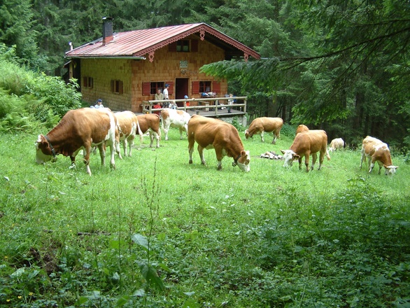 Blankensteinhütte