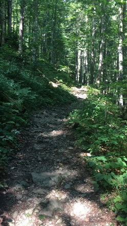 Schöne Wanderwege