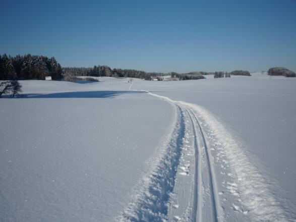 Loipe rund um Ingenried