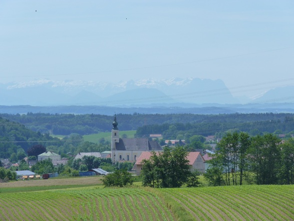 Blick auf Tann