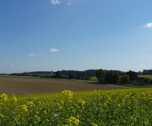 Blick von Hörathal nach Edermaning
