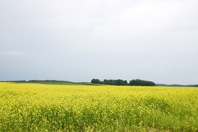 Höhen unweit von Falkenberg.