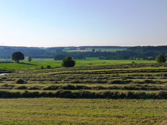 Blick auf die Kollbachauen bei Arnstorf