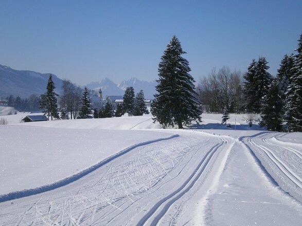 Langlaufloipe Mühlfeld Rottenbuch