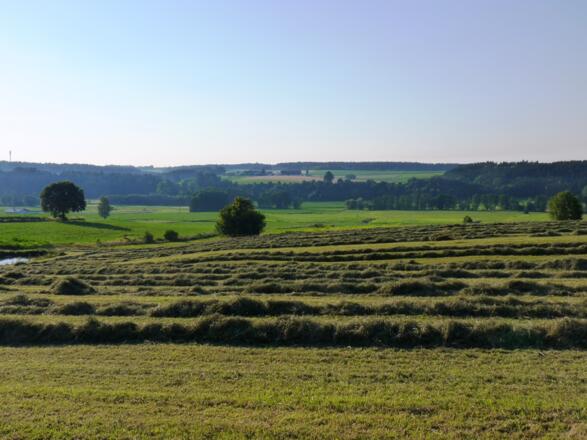 Blick auf die Kollbachauen bei Arnstorf