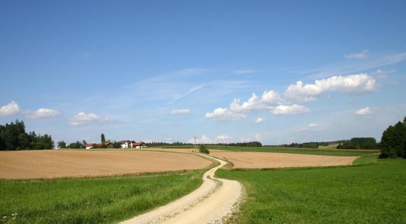 Bei Sulzbach.