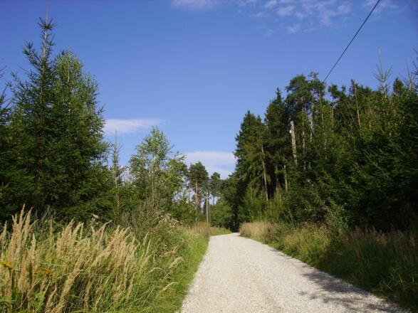 Unterwegs auf Feldwegen und Waldrouten.