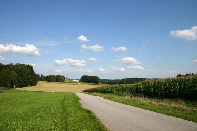 In Höhenberg.